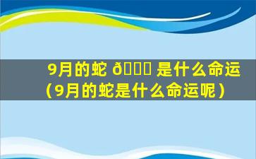 9月的蛇 🐎 是什么命运（9月的蛇是什么命运呢）